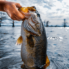 Lake Fork Fishing Report February 2022